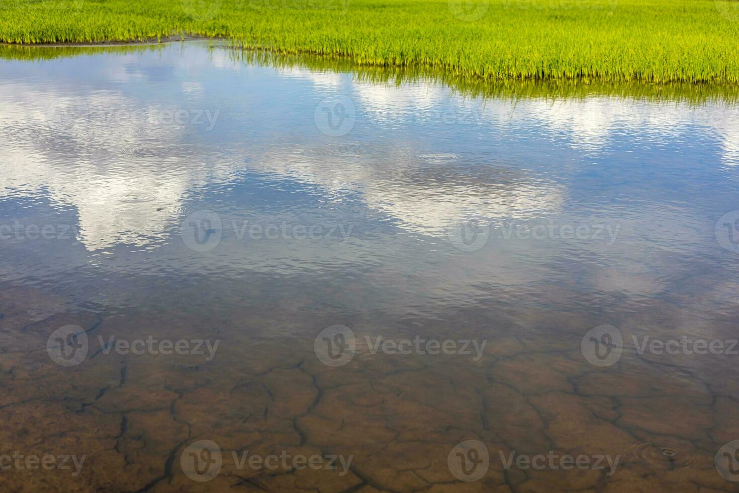 Scenery background surface reflection water cracked ground with cloudy sky. photo