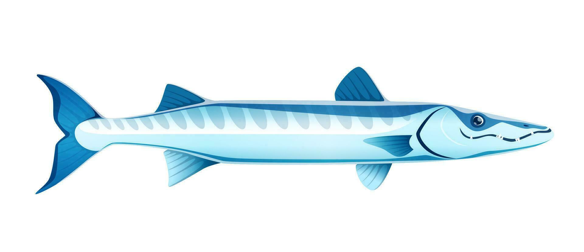 Cartoon barracuda sea animal, vector predatory
