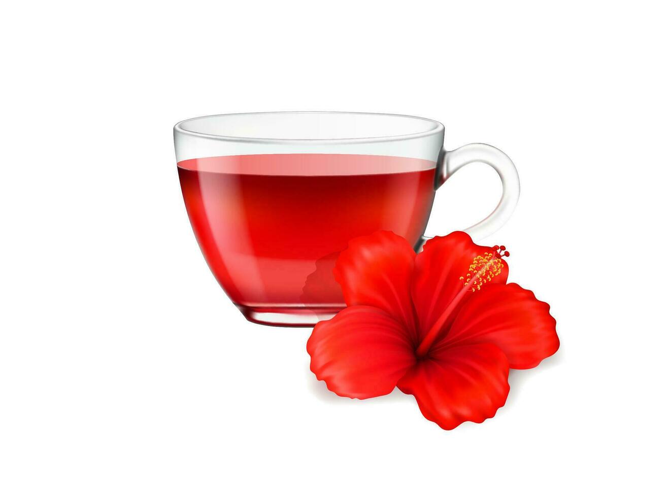 realista hibisco té taza y flor herbario bebida vector