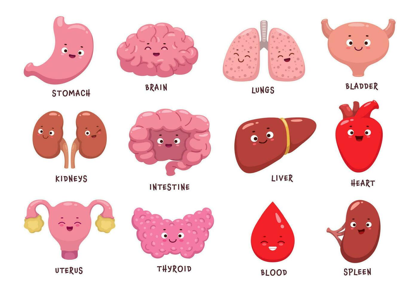 dibujos animados humano cuerpo Organo caracteres, gracioso anatomía vector