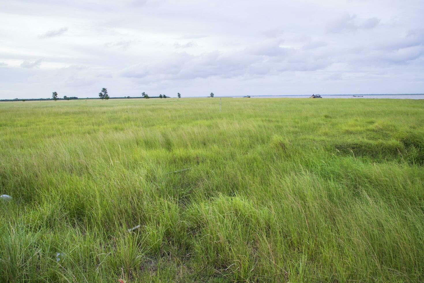natural paisaje ver de verde césped campo con azul cielo foto