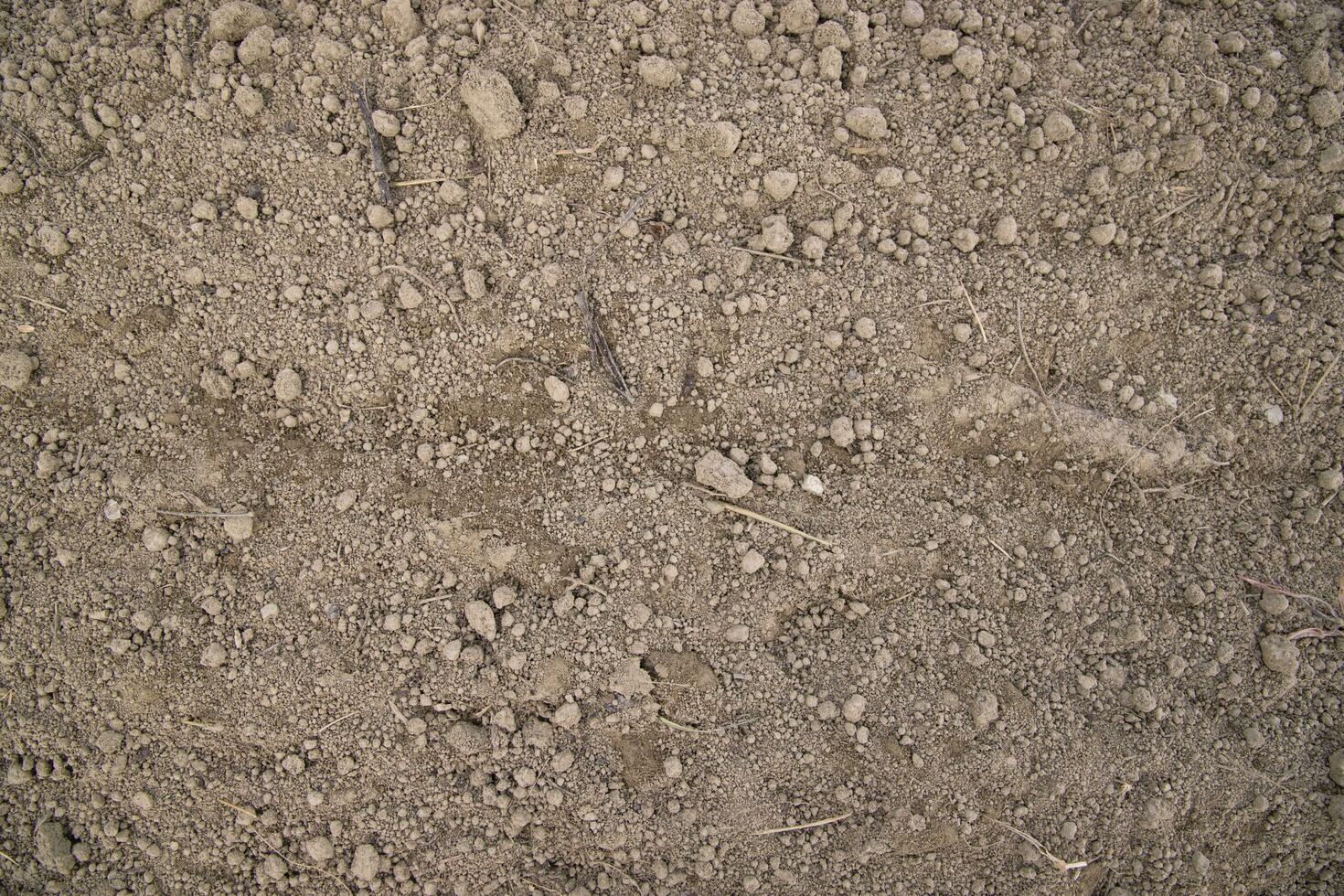 Brown crushed soil peat field texture may be used as a  background wallpaper photo