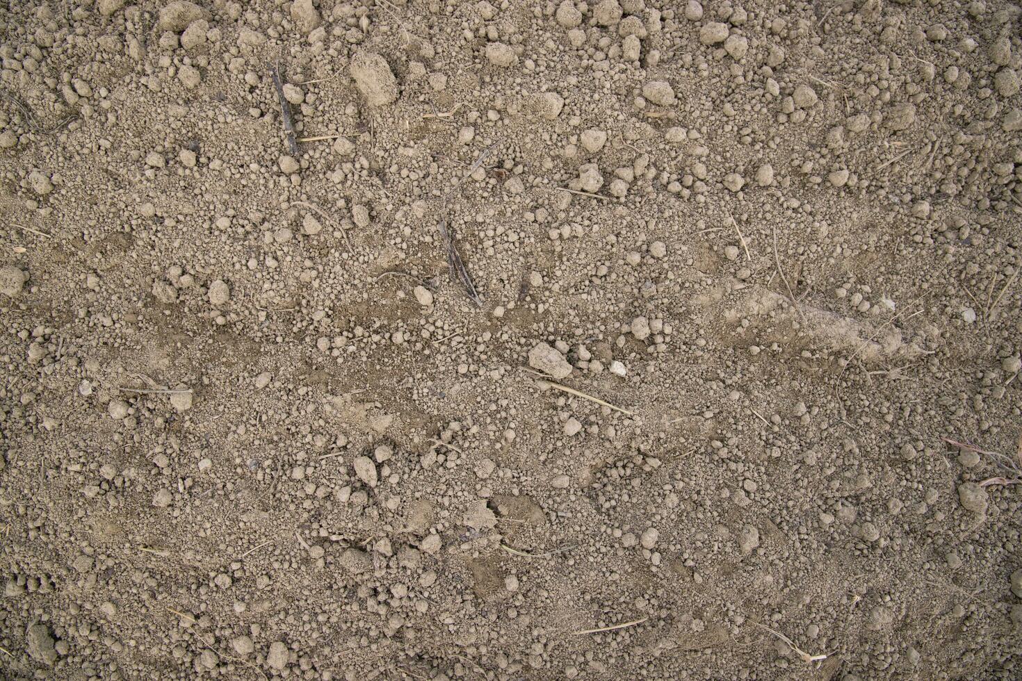 Brown crushed soil peat field texture may be used as a  background wallpaper photo