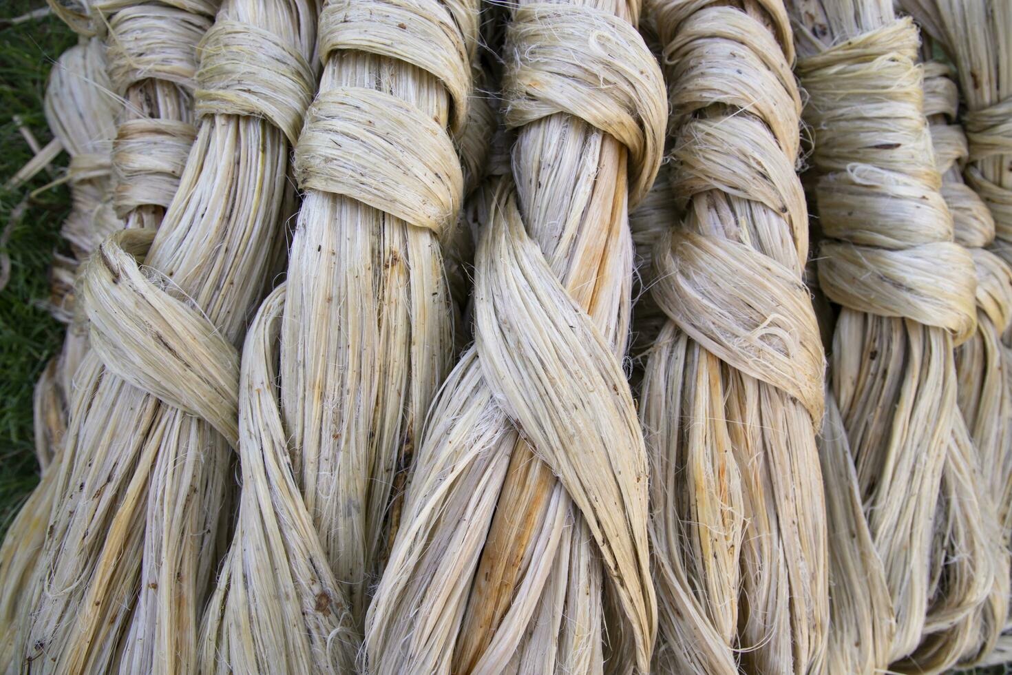 Thick Golden bundle of raw jute fiber Pattern Texture Can be used as a Background wallpaper photo
