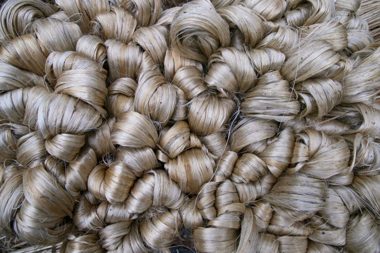 Thick Golden bundle of raw jute fiber Pattern Texture Can be used as a Background wallpaper photo