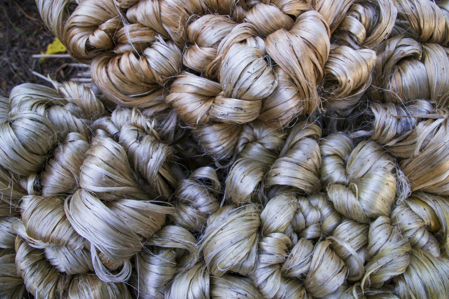 Thick Golden bundle of raw jute fiber Pattern Texture Can be used as a Background wallpaper photo