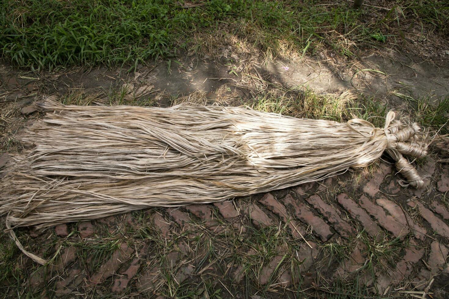 A thick brown  bundle of raw jute has on the ground photo
