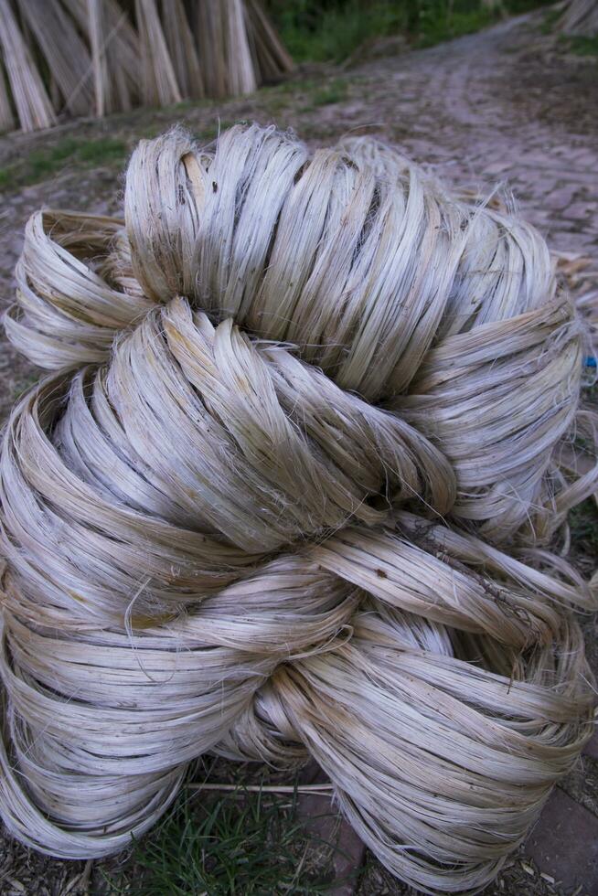 A thick brown  bundle of raw jute has on the ground photo