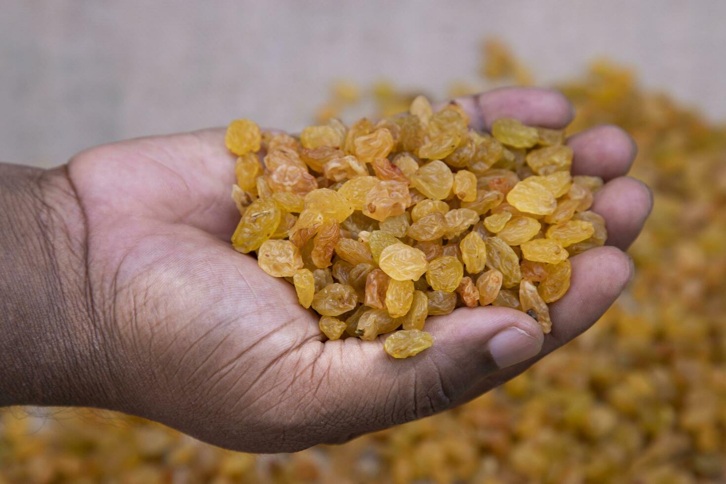 Delicious healthy raisins on hand with Blurry background photo