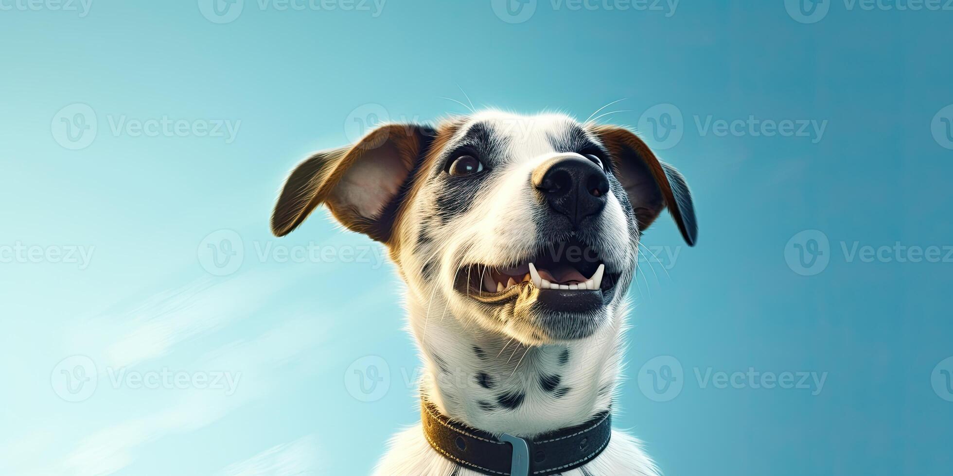 Dog portraite on a minimal blue background for banners photo