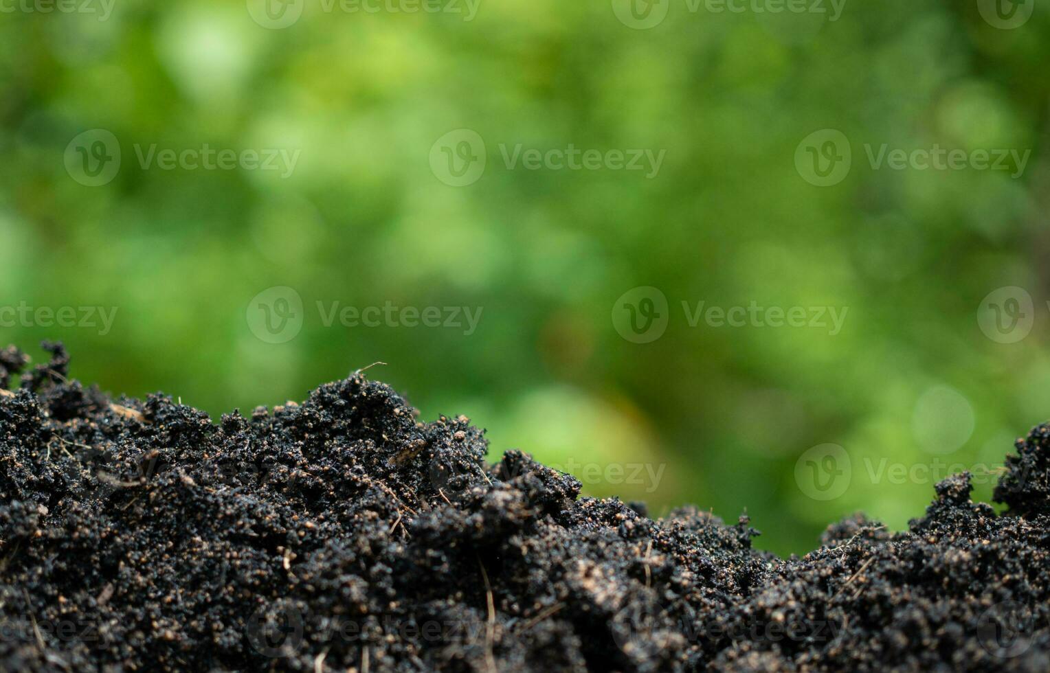 Background with soil and green from nature. Environmental protection concept, reforestation, CO2 reduction, recycle. photo