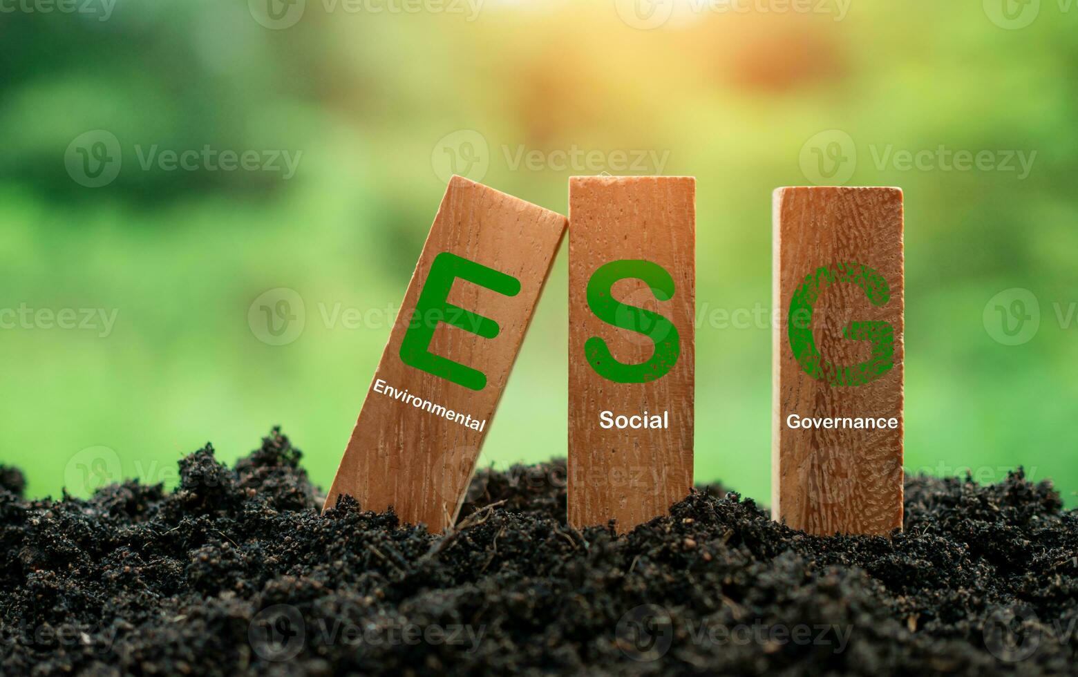 esg concepto para ambiente, sociedad y gobernancia en sostenible. negocio responsable ambiental. foto