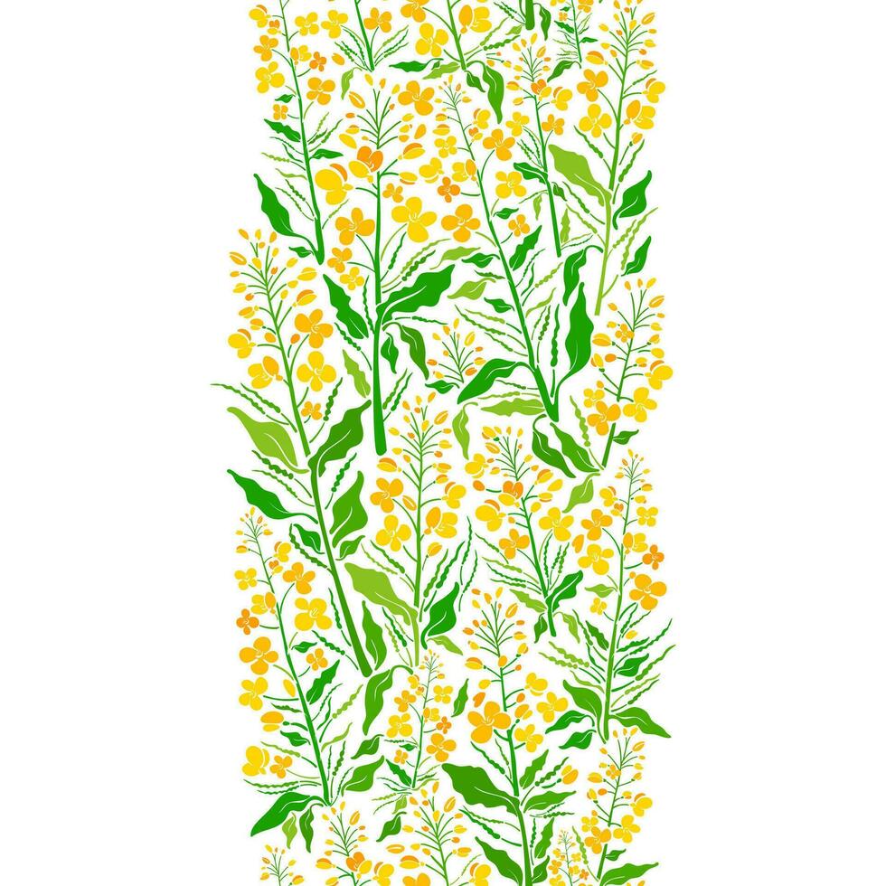 Rapeseed oil border. Floral seamless strip. Vector