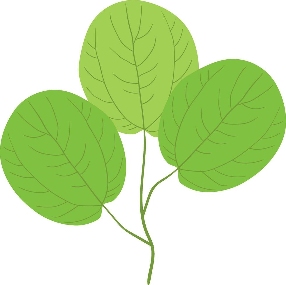 Green leaves isolated on white background. Flat design. Vector illustration.