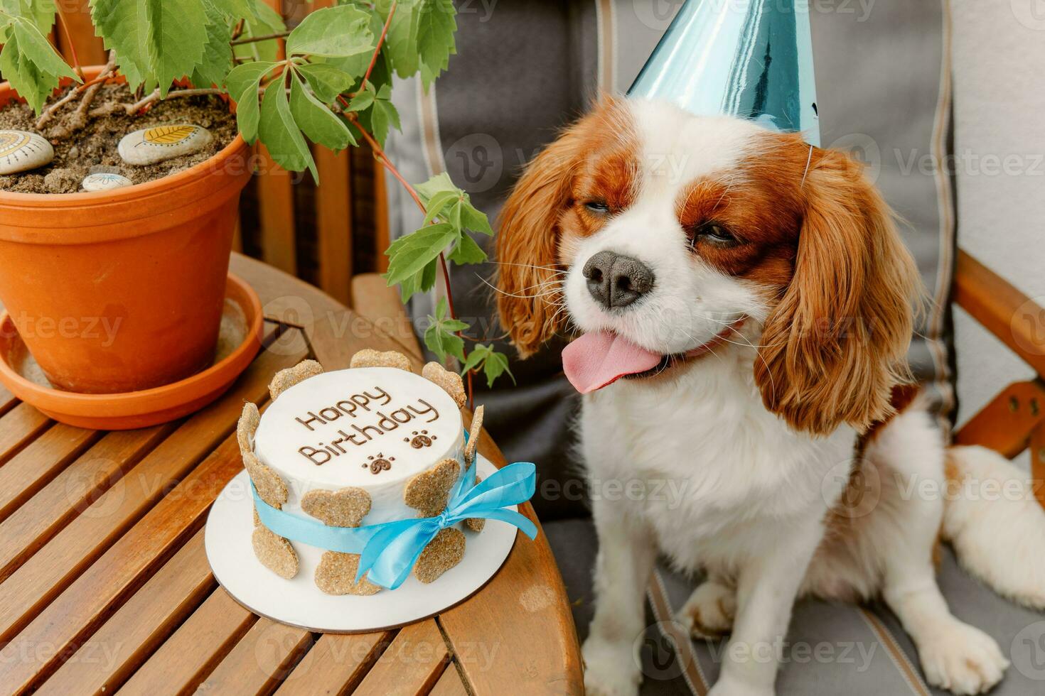 Dog's birthday party. Cake for pet made of cookies in shape of meat bones. Cute dog wearing party hat at table with delicious birthday cake photo