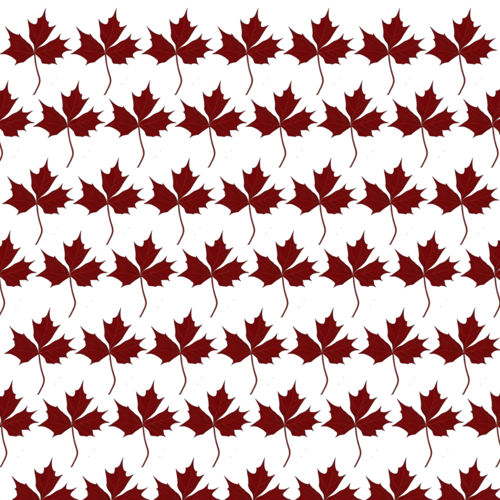 Autumn leaves pattern background, Falling leaves pattern, minimalistic Fall leaves pattern, red orange Leaves pattern, Halloween leaves, Fall foliage, Leaf shedding, Leaf patterns texture background png