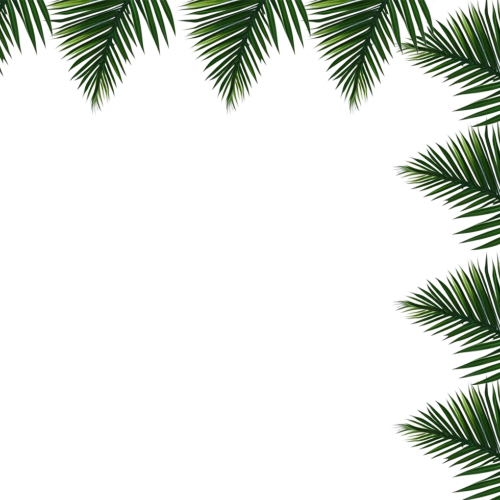 tropical verde palma hojas frontera marco en transparente fondo, follaje frontera fondo, verde hojas fondo, verde fondo, verde hojas borde, frondoso frontera png