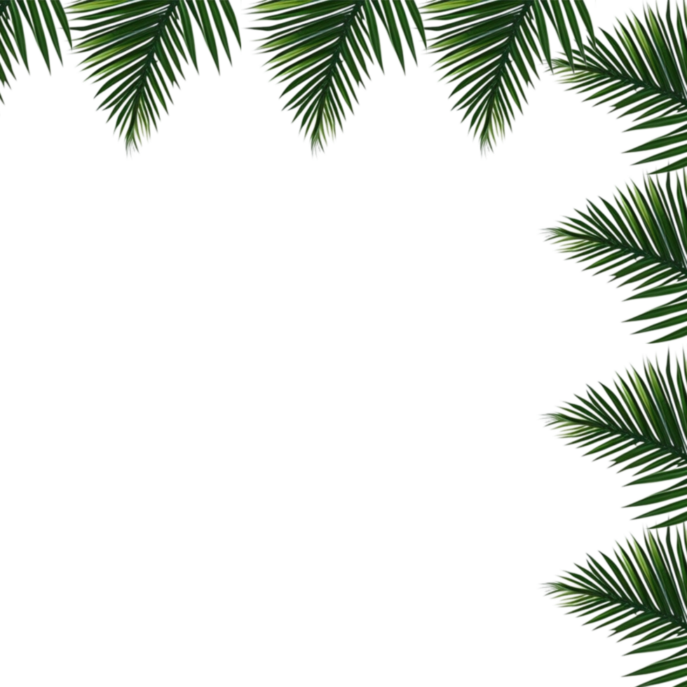 Tropical green palm leaves border frame on transparent background, foliage border background, green leaves background, green background, green leaves border, Leafy Border png