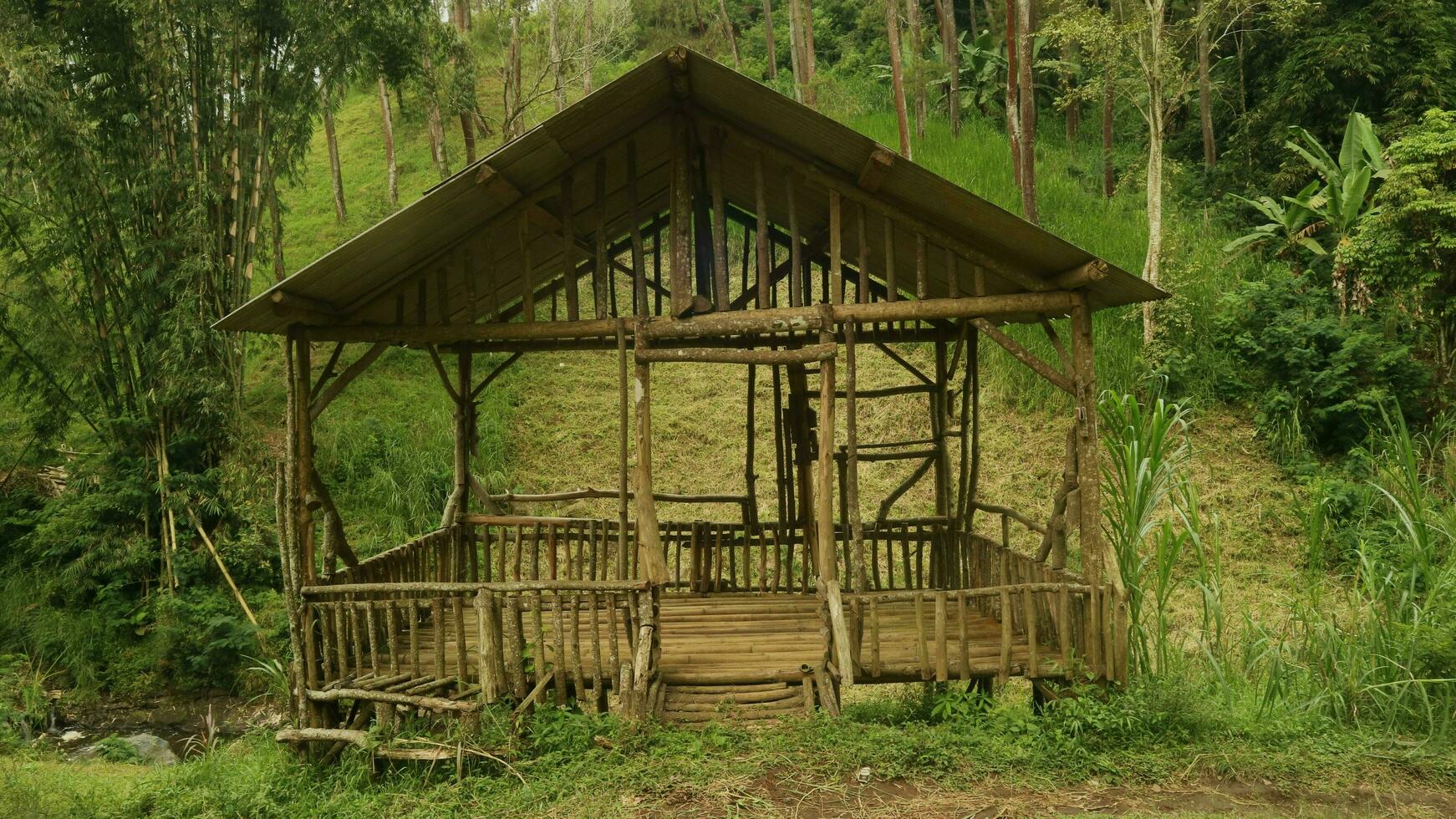 Gubuk kayu, a shab, vintage wooden house located in the forest photo