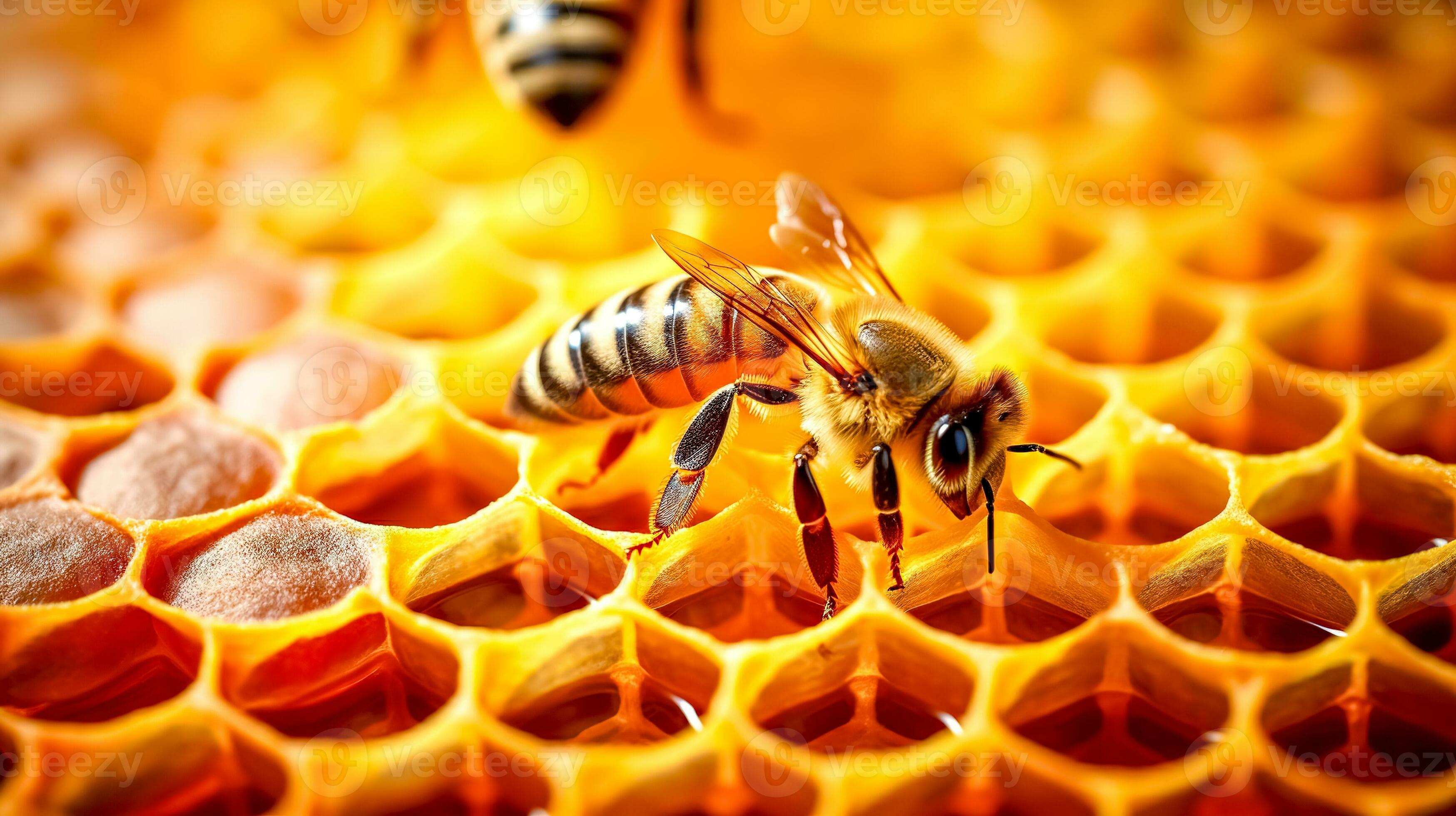 the bee stores honey in the comb in the hive, the honey comb, made with  Generative AI 26847347 Stock Photo at Vecteezy