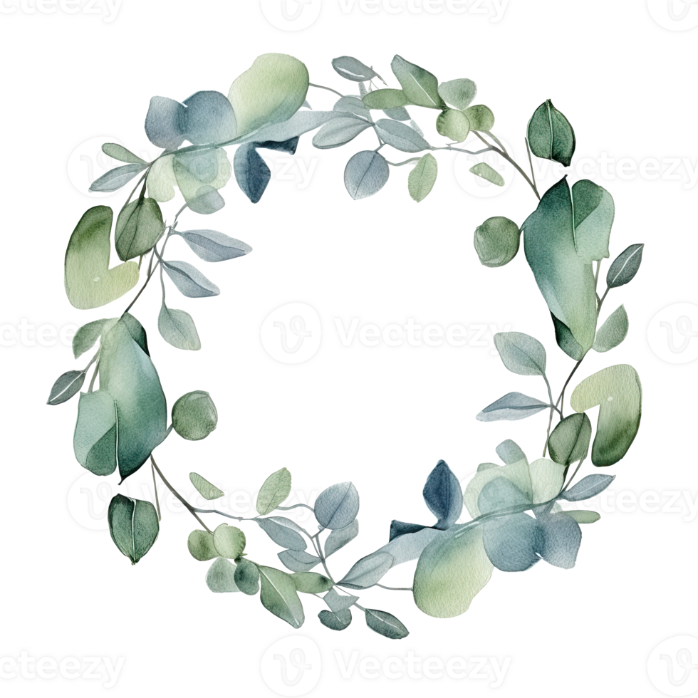 Watercolor eucalyptus leaves frame isolated png