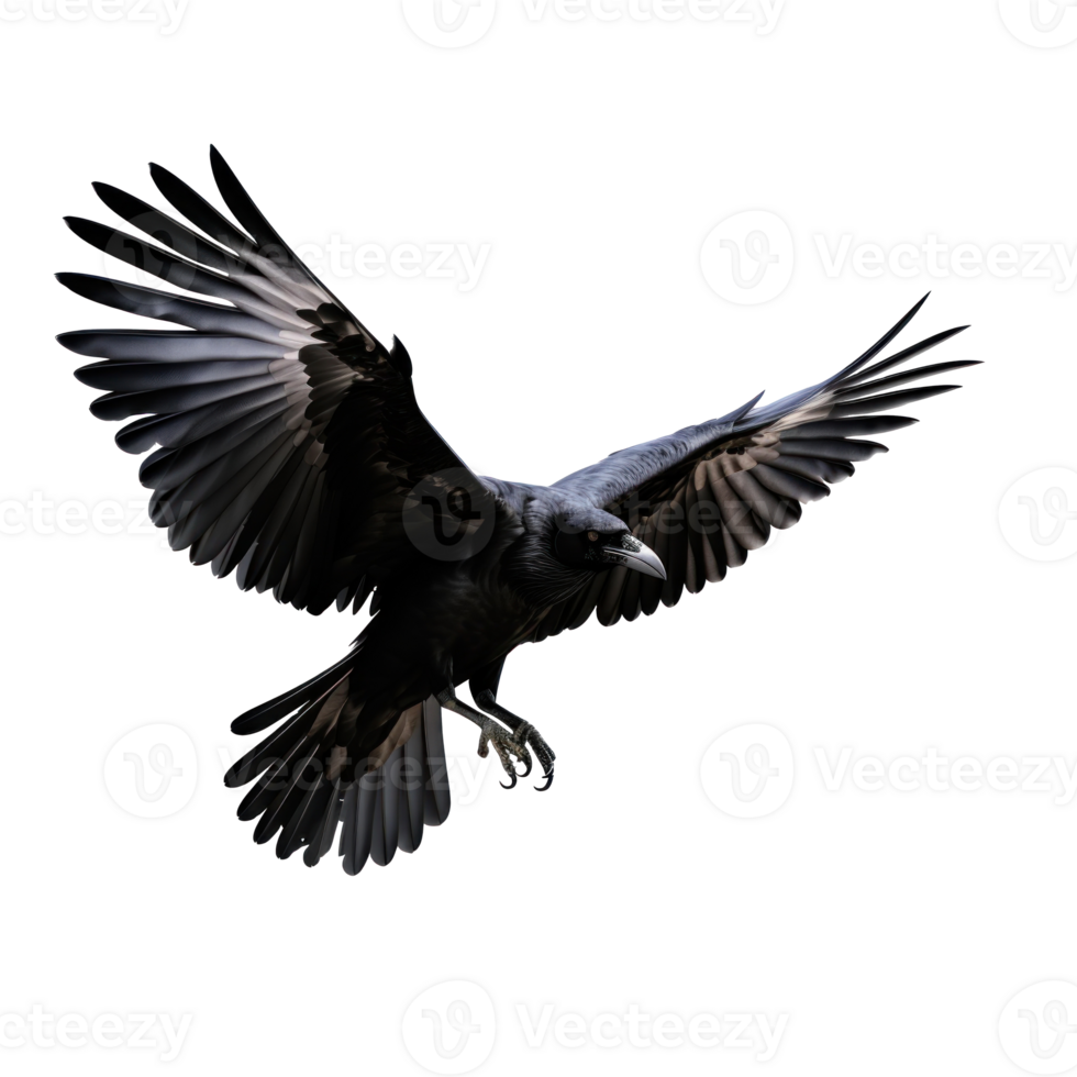 Flying black crow isolated png