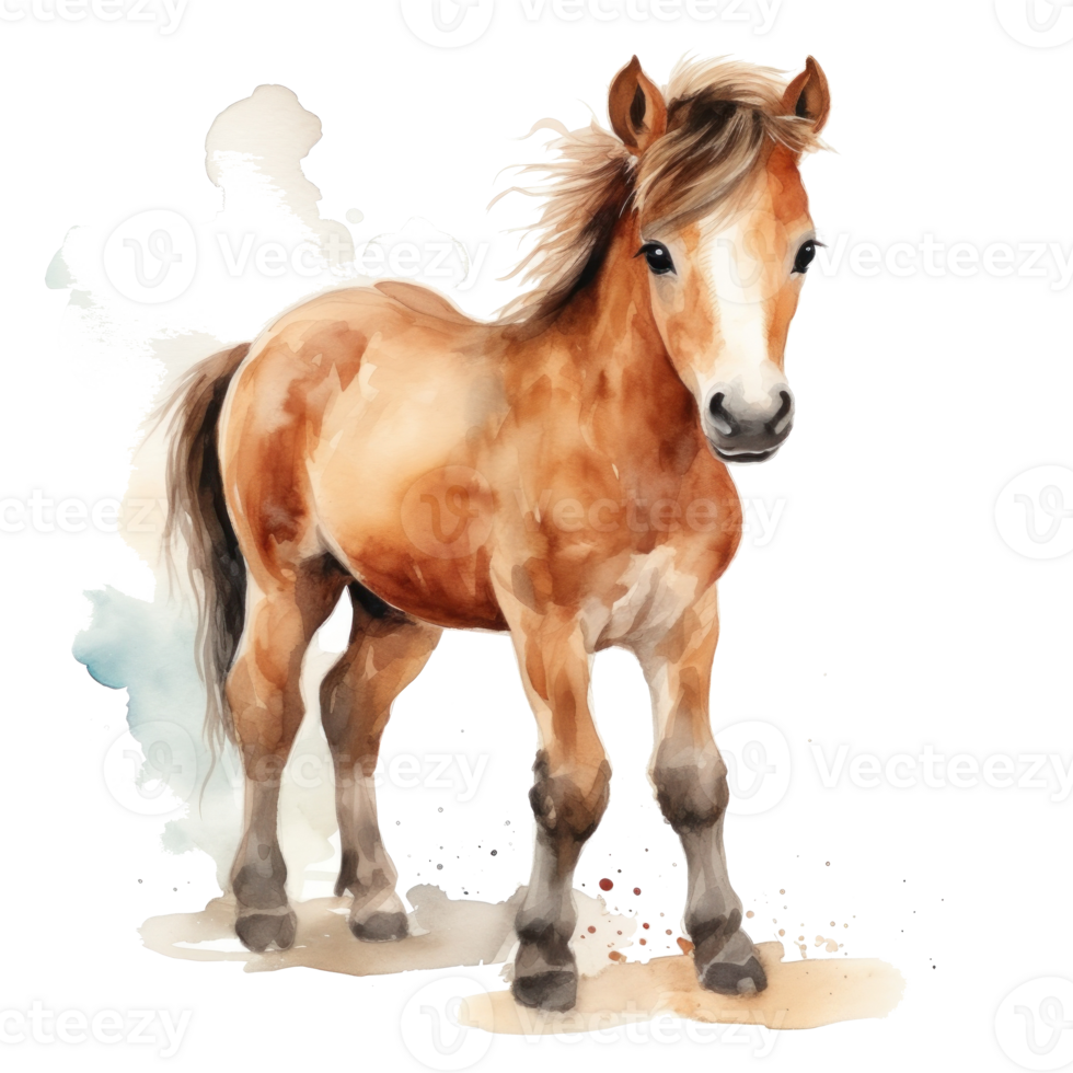 Cute watercolor pony isolated png