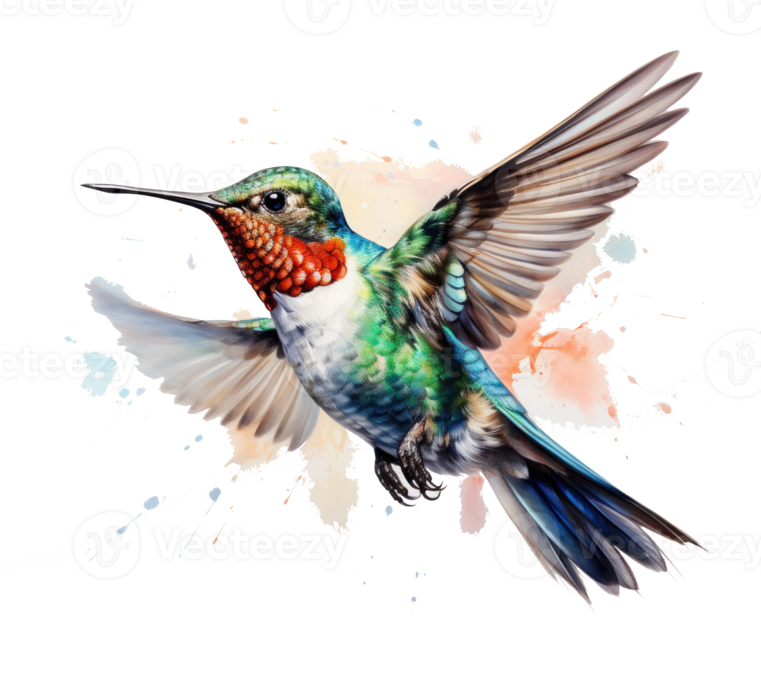 Flying hummingbird isolated png