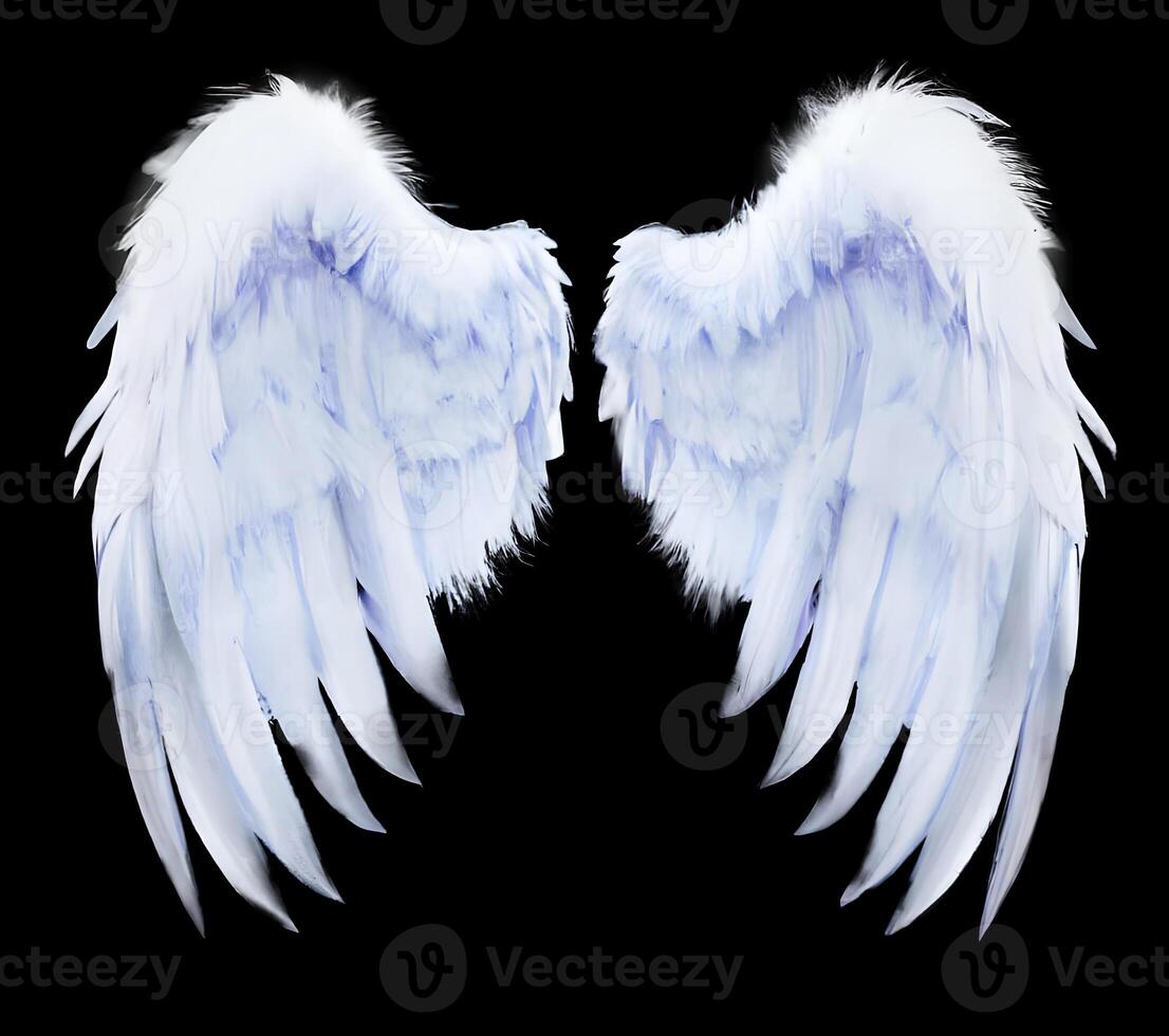 White angel wings isolated on black background. photo