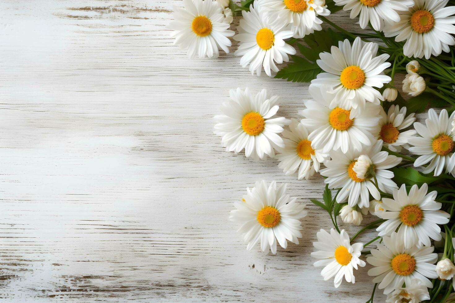 Daisy flowers on white wooden background, summer chamomile flat lay. Valentine's, womens, mothers day, birthday or wedding concept. Top view. Copy space. Generated AI. photo