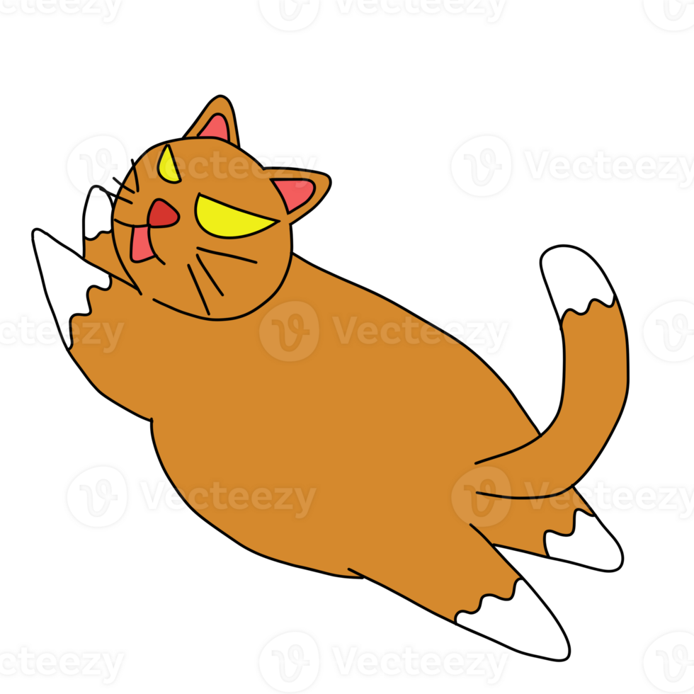 orange cat jump png