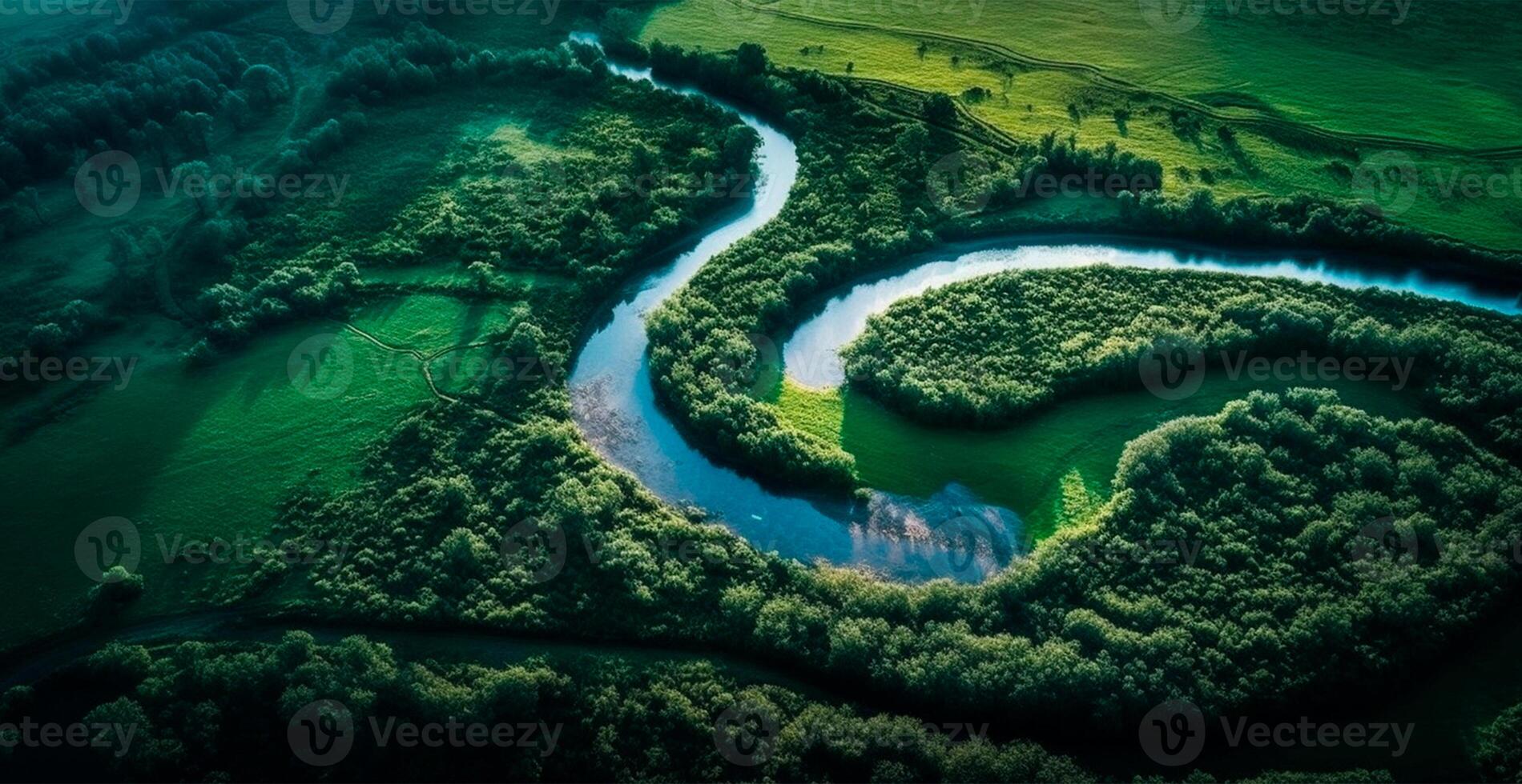 Panoramic top view of a winding river surrounded by dense forest and spacious fields with green grass - image photo