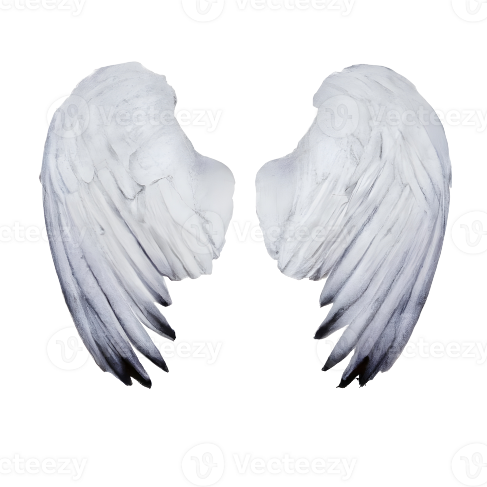 White angel wings. png