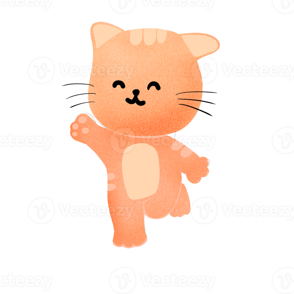 Orange Katze süß Katze png