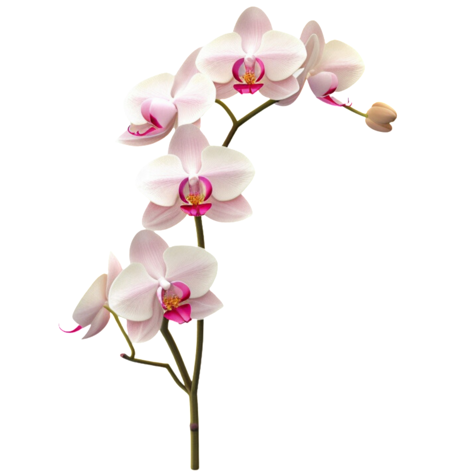 3D Orchid aesthetic png