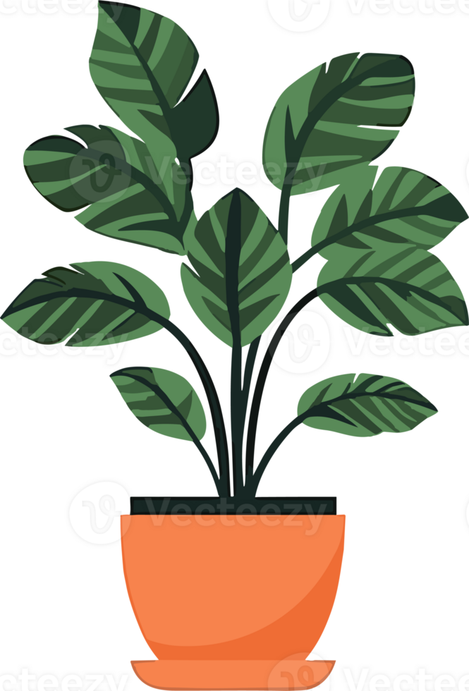 Minimalistic Style Potted Houseplant. . png