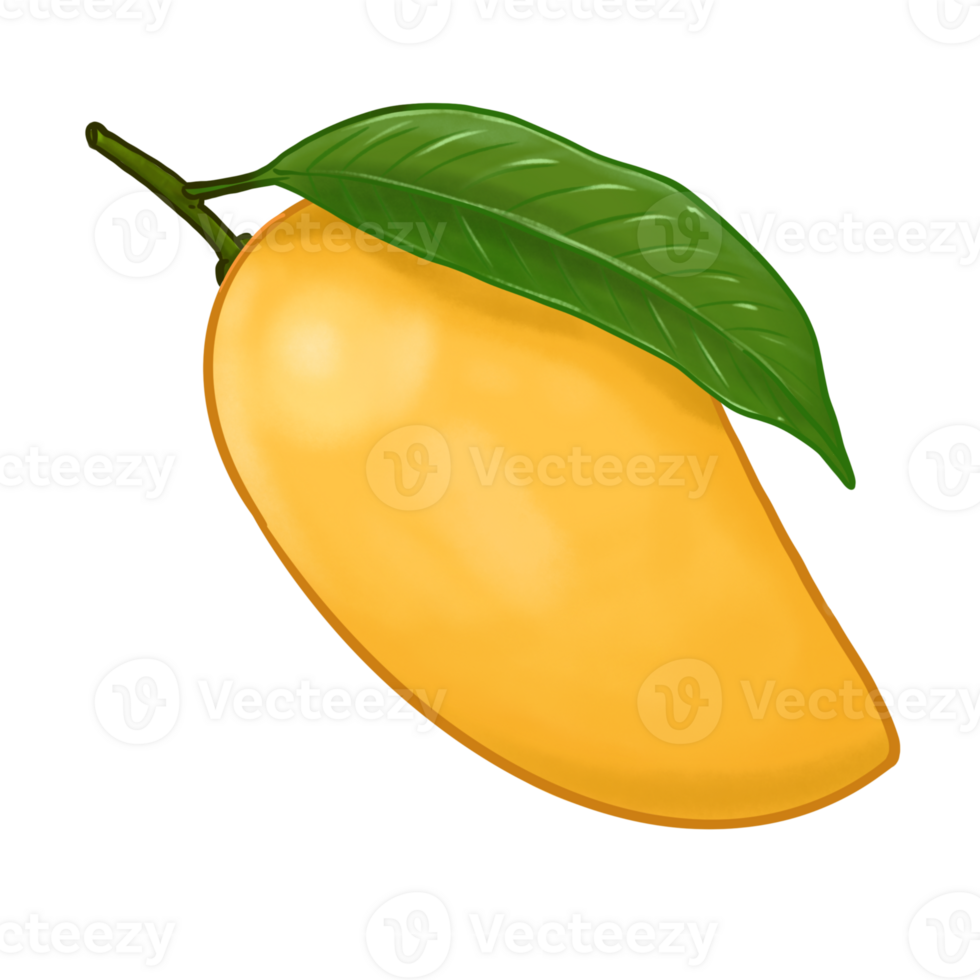Illustration for mango fruit png