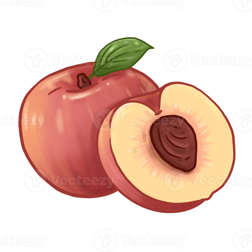 Illustration of peach fruit png
