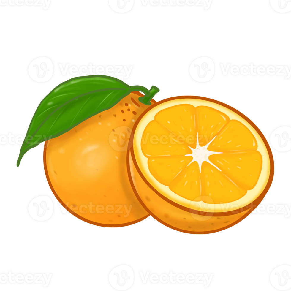illustratie voor oranje fruit png