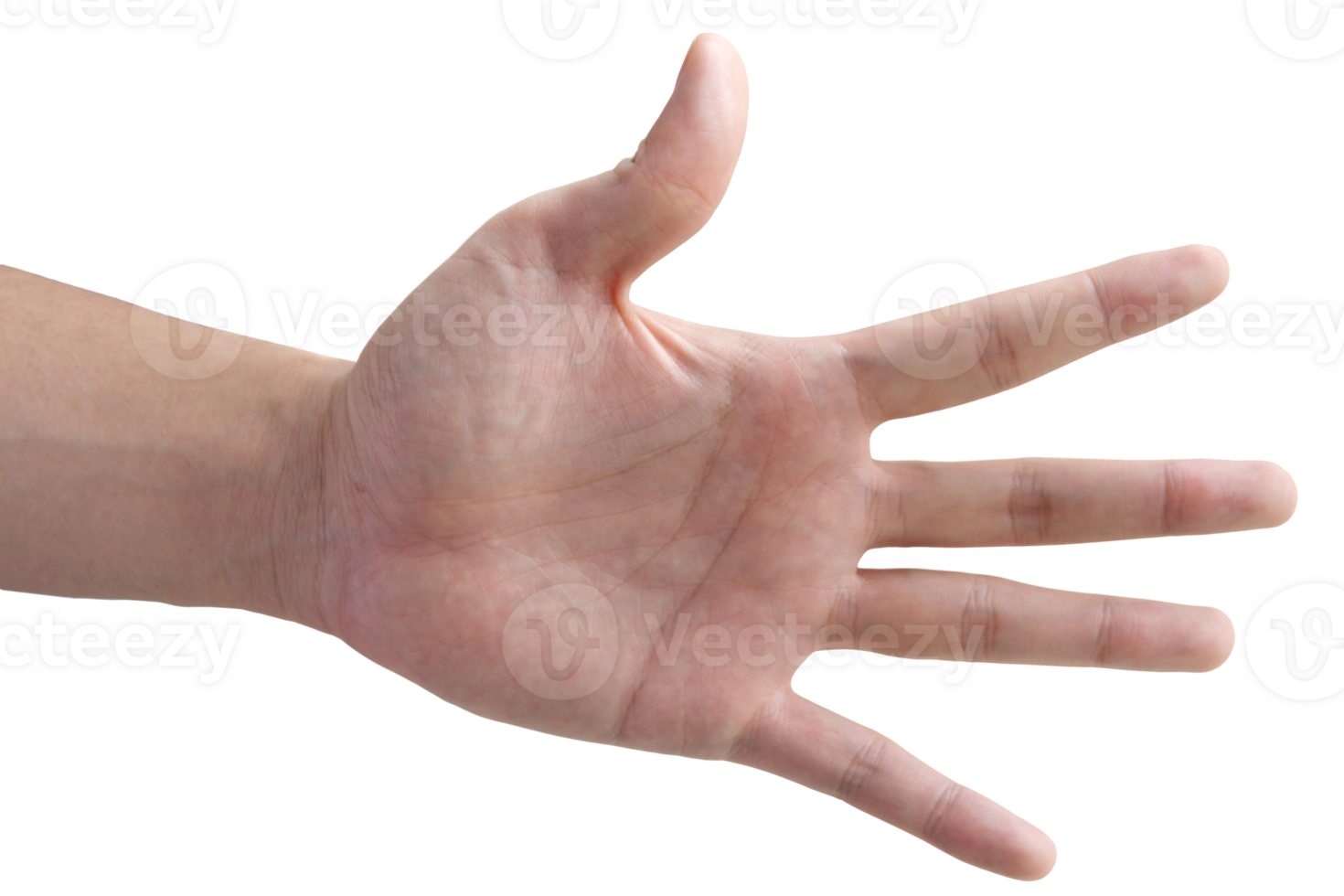 hand symbol isolated with clipping path png
