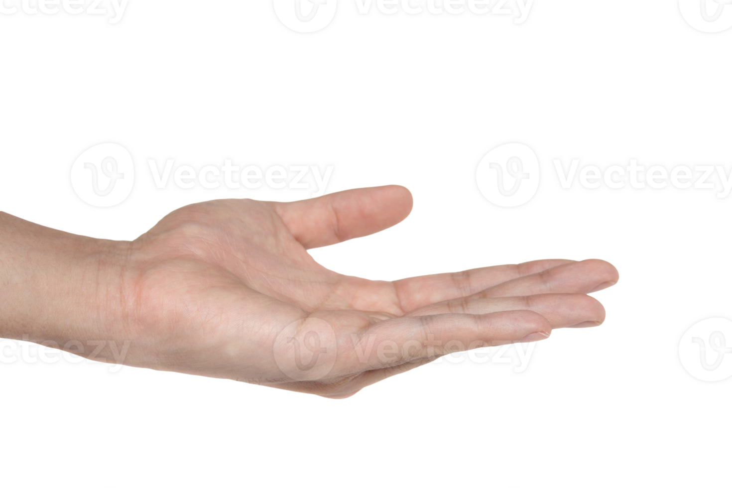 Empty hand isolated with clipping path png