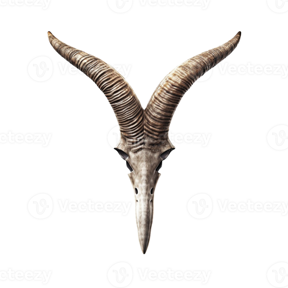 Animal horns iisolated on transparent background, created with generative AI png