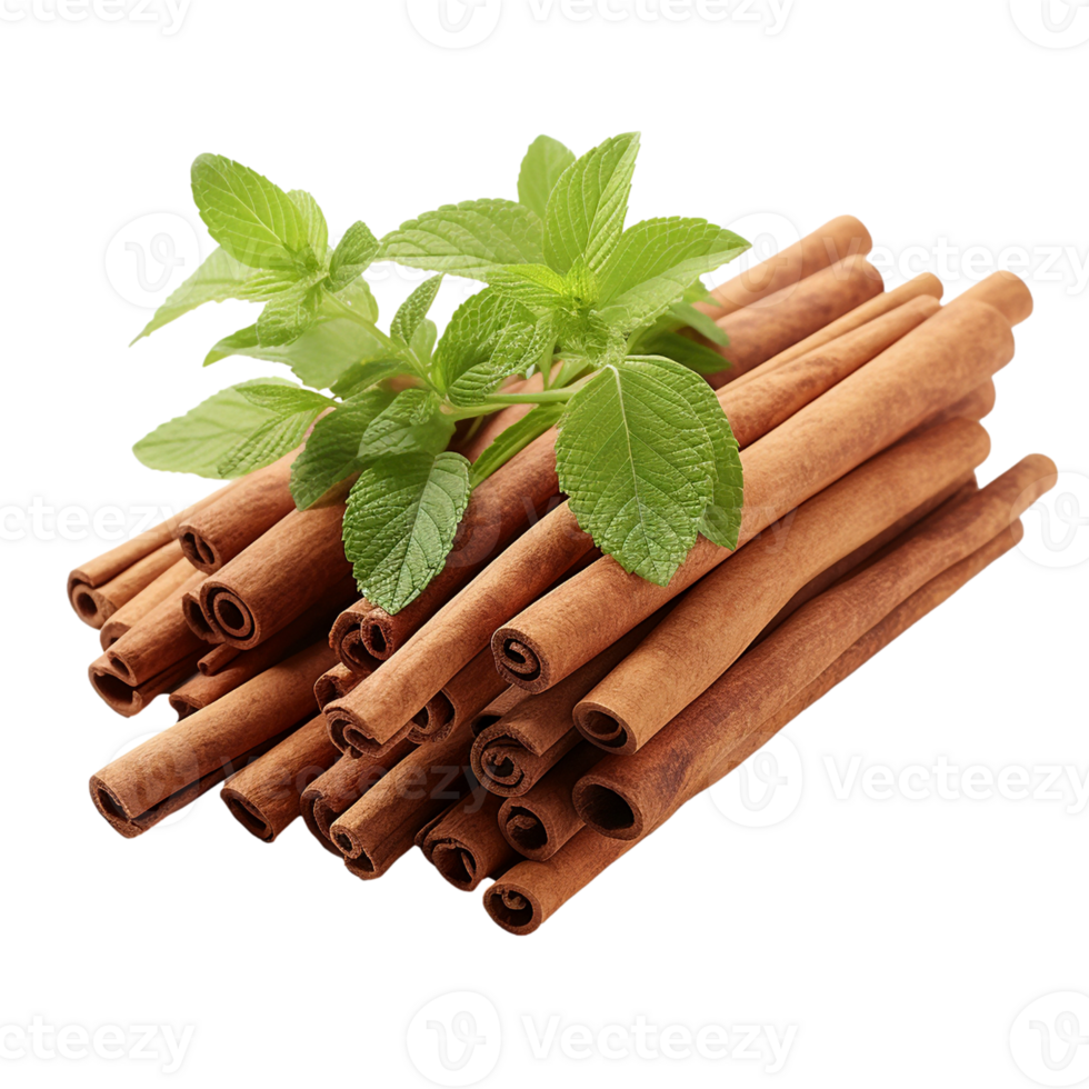 Cinnamon stickers isolated on transparent background, created with generative AI png