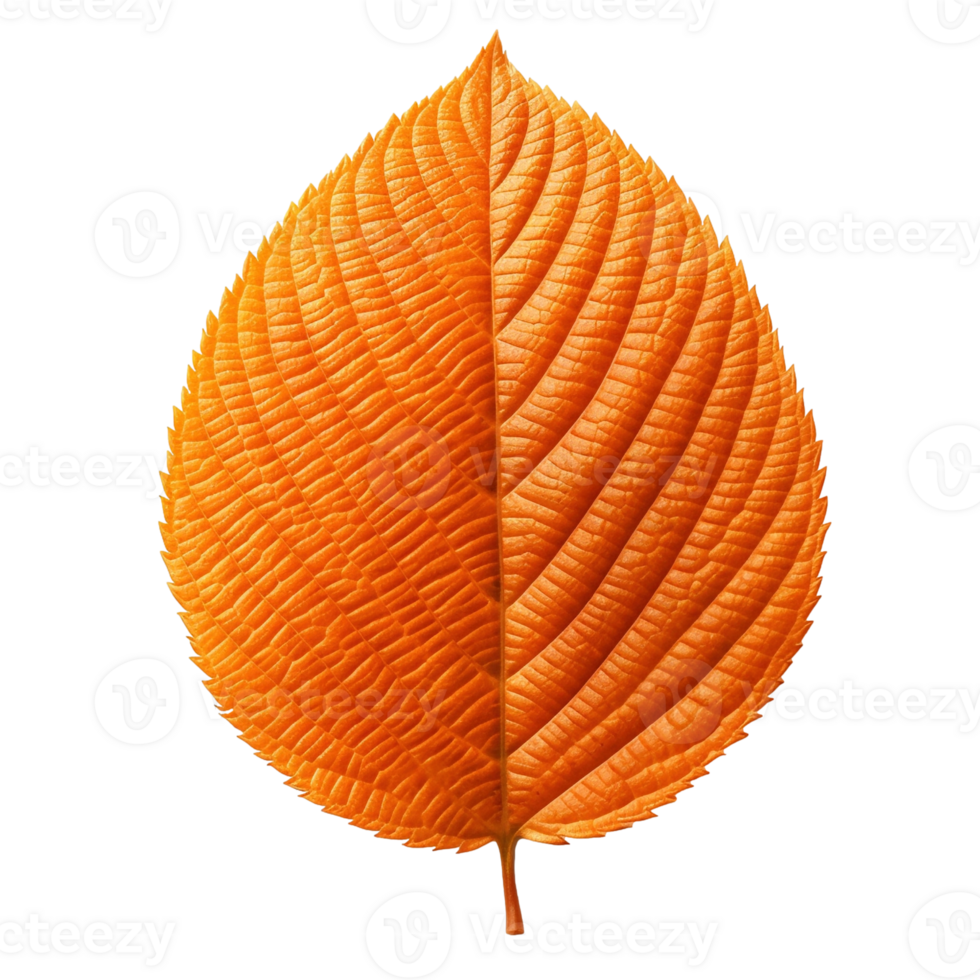 Orange leaf isolated on transparent background, created with generative AI png