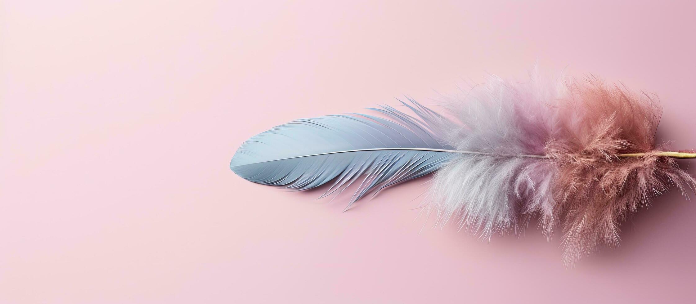 foto de un vibrante azul y rosado pluma en contra un suave rosado antecedentes con Copiar espacio