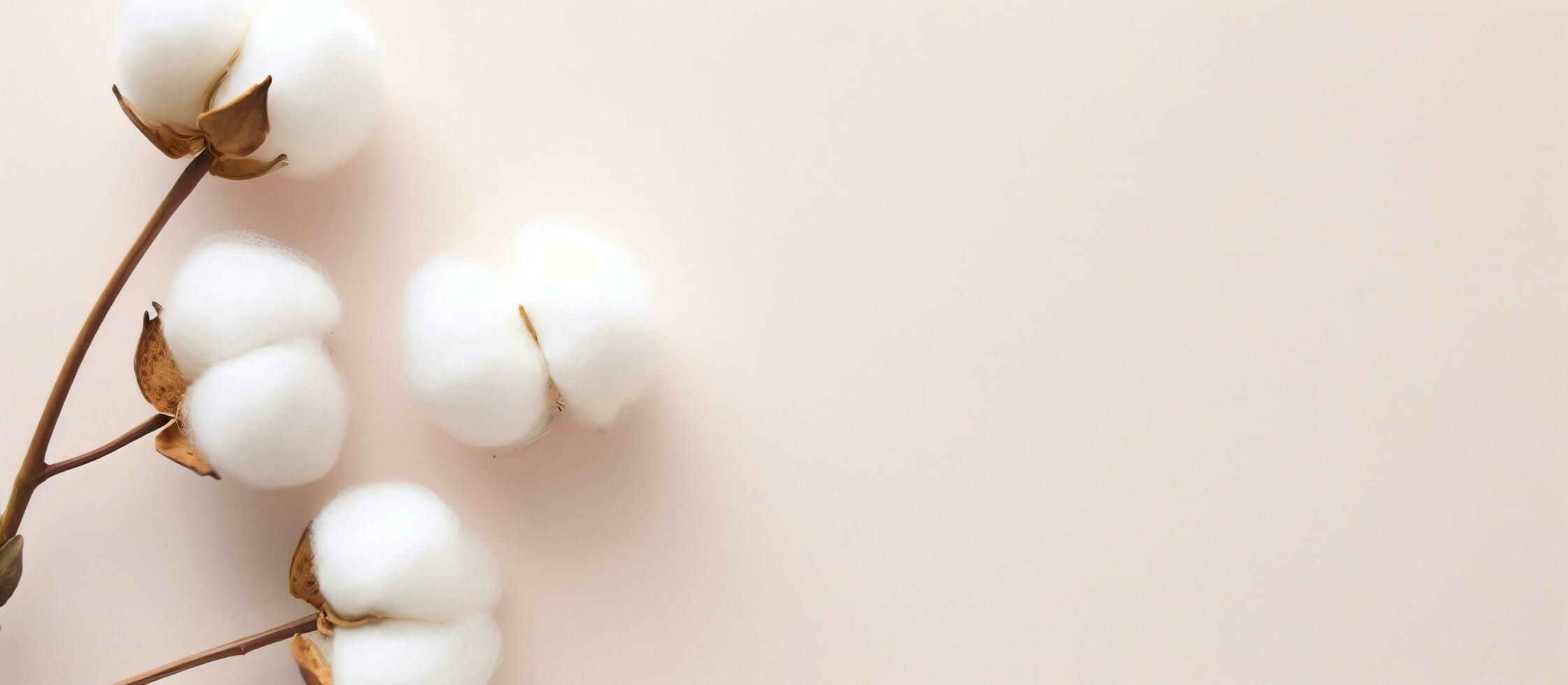 Photo of a pink background with a branch of cotton, perfect for adding your own content with copy space