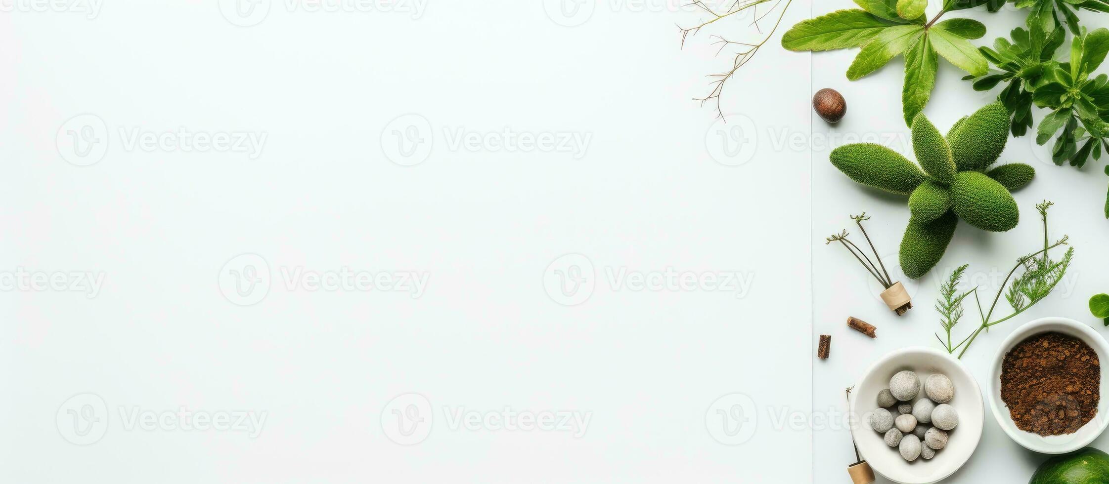 Photo of a minimalist white table with a natural and serene arrangement of plants and rocks with copy space