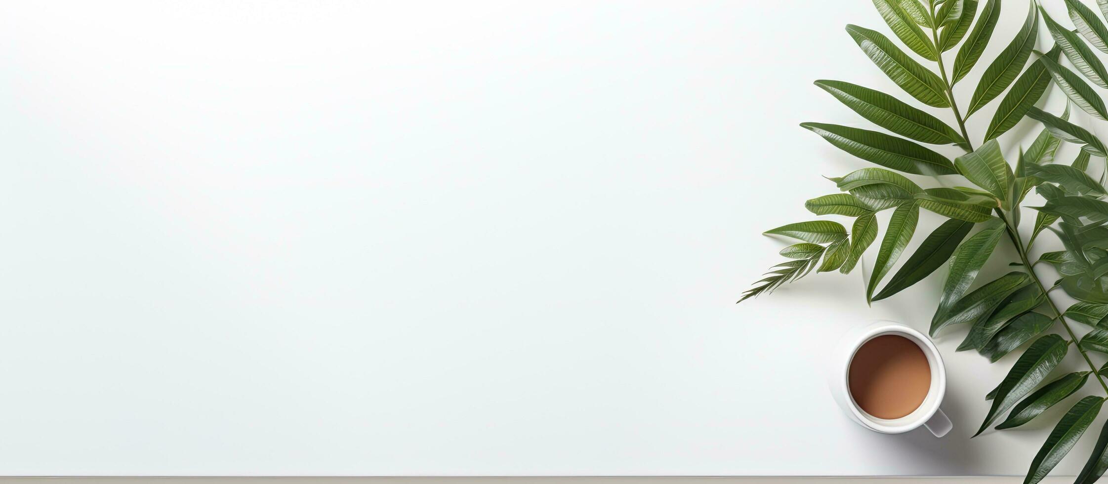 Photo of a plant and a cup of coffee on a table with plenty of space for your own creative ideas with copy space