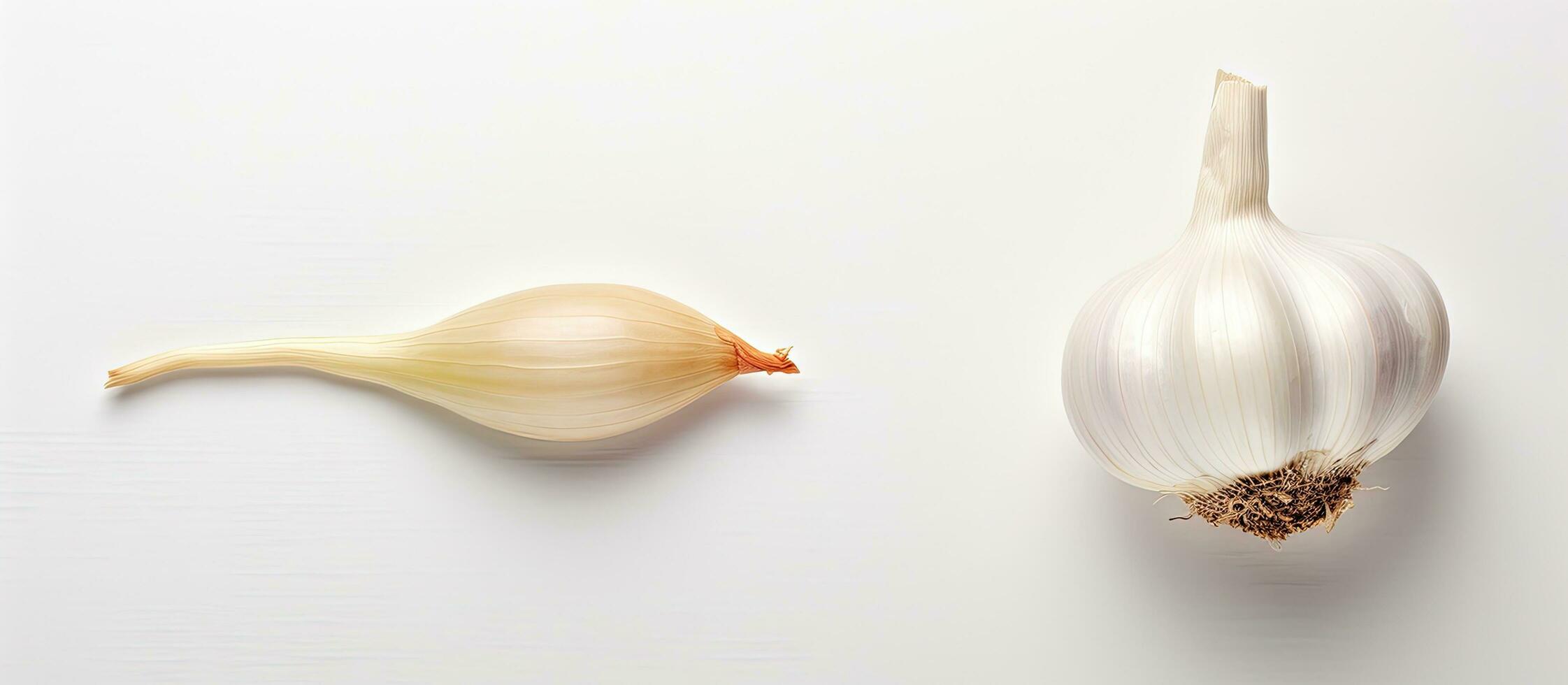 Photo of an onion and garlic placed on a clean white surface with plenty of empty space for text or other elements with copy space