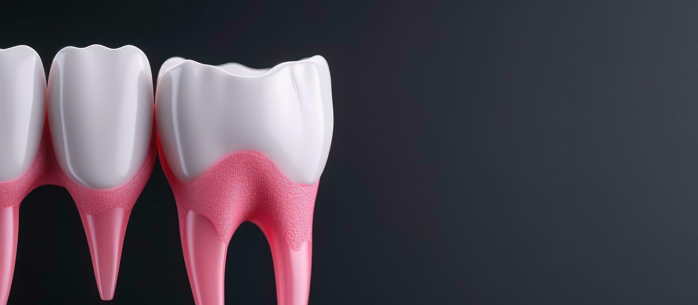Photo of a pink and white painted tooth with blank space for text or design with copy space